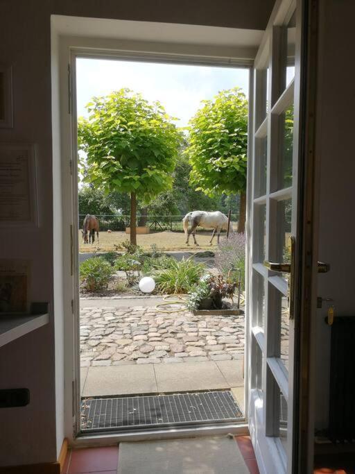 Xanadi Heilehaus Kleine Auszeit Kururlaub Διαμέρισμα Bruchhausen-Vilsen Εξωτερικό φωτογραφία